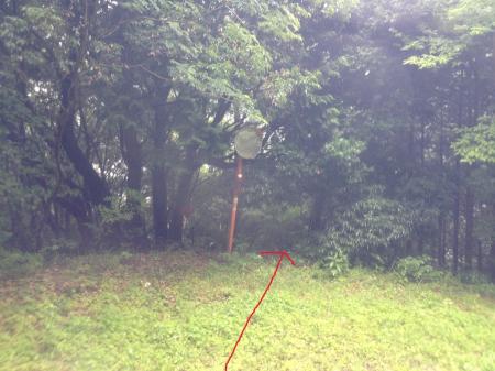 林道のここのポイント。ここから尾根伝いに下って入渓ポイントへ