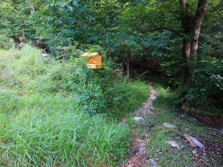 さっきの無料駐車場の裏側。ここから入山していく