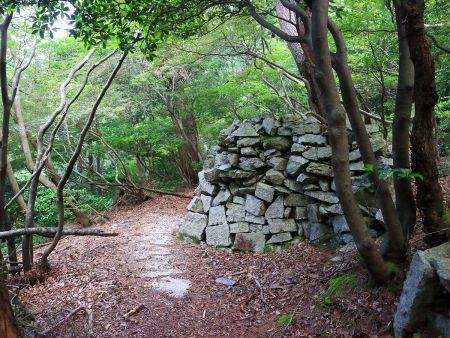 この石垣は人工物のように思えるけど、昔に何かあったのかな！？