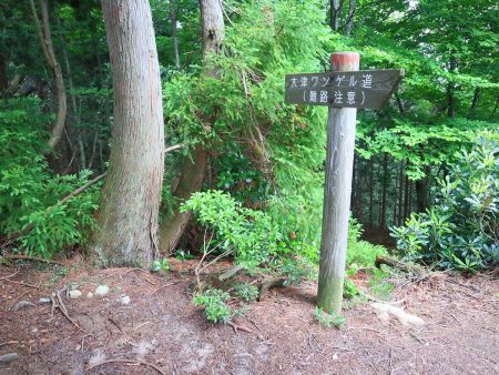この尾根は大津ワンゲル道というのか