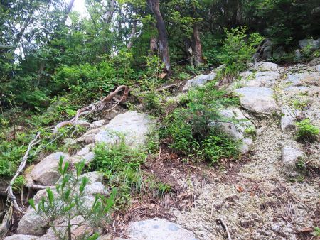 岩場とロープ場。写真ではわかりにくいけど、結構な斜面だった