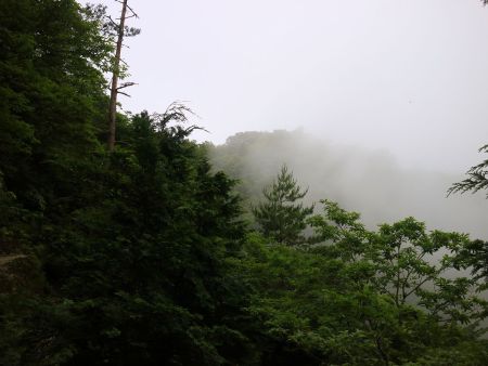 辺りはガスってきた。天気は回復傾向にあるはずなんだけど山では仕方ないね