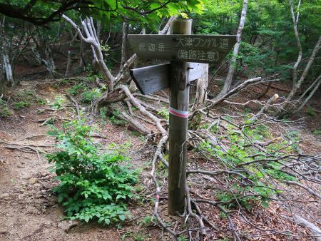 ここで分岐。ここまでくると釈迦岳の山頂はあともう少し