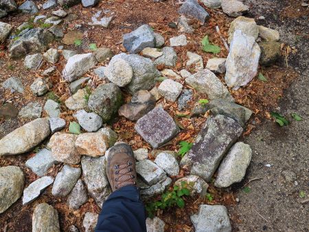 こんなところに三角点があったので撮影しておいた