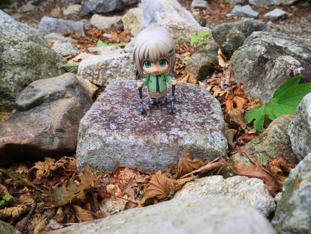 三角点と雪村あおいちゃんを撮影しておいた