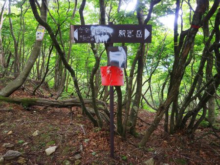 道標がもはや消えかかってるけどカラ岳のほうであっている