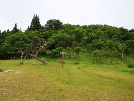 ここで左側と右側の道があるんだけど、右側の道を登っていく