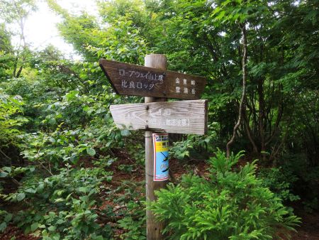 そのまま金糞峠のほうへ進んでいく