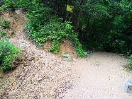 金糞峠からこの左側の道を登っていく