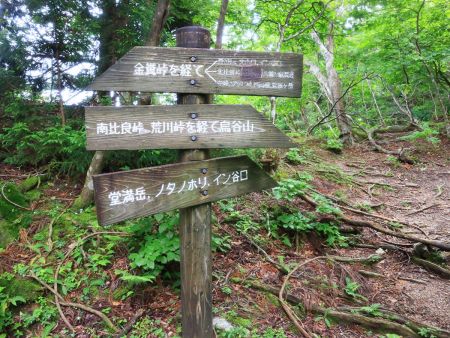 ここにも道標があった。堂満岳、ノタノホリのほうへ進んでいく