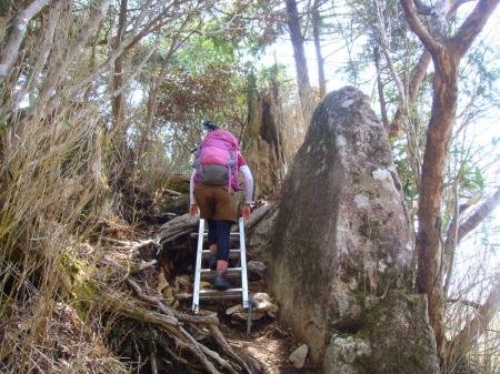 梯子があるのはここだけだったかも