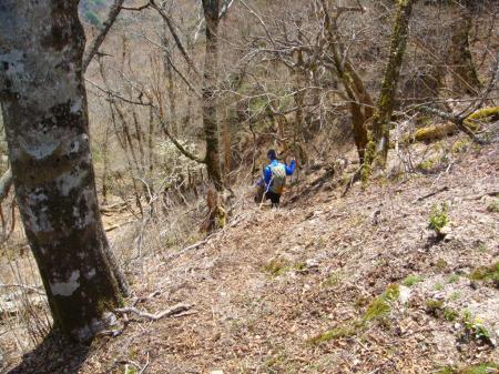 最初のうちは結構急な下り