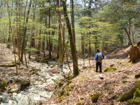 ここまで下るととりあえず急な下りはなくなった