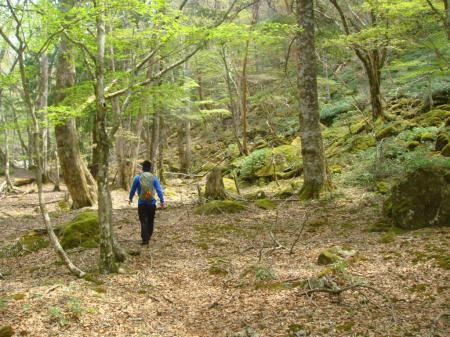 沢筋を歩く