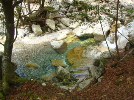 それにしても綺麗な沢だ