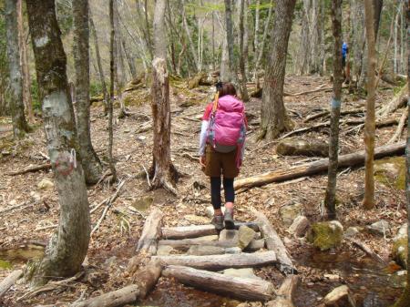 壊れた橋も、歩きやすくてありがたい