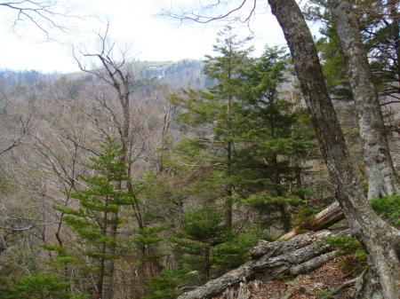 左手に古田の森のピークが見えた
