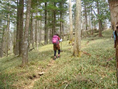 笹の付近までくるとあと少し。急登も楽になる