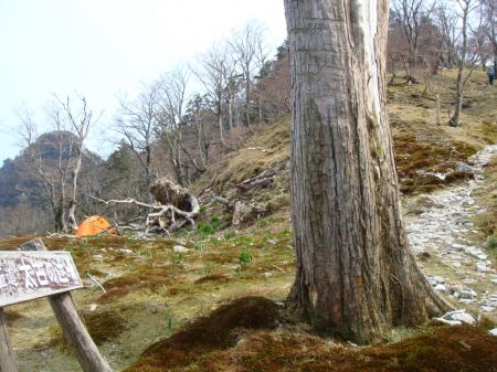 大日岳を目指す