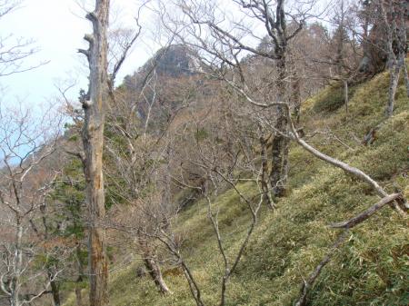 見えているがちょい２つほどピークを越える