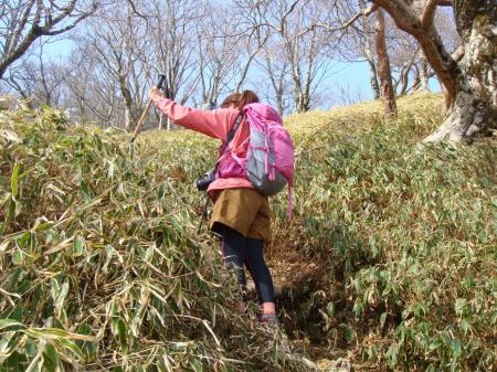 いきなり急登がはじまる