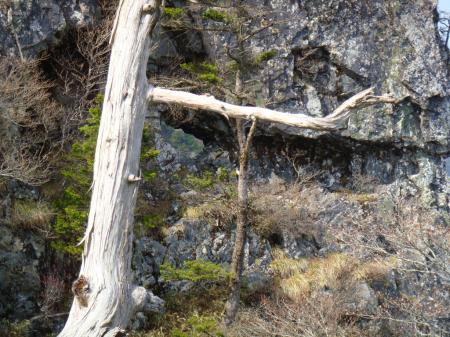登ってきたところで穴が開いた岩があった