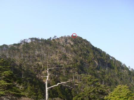 釈迦の像が見えた