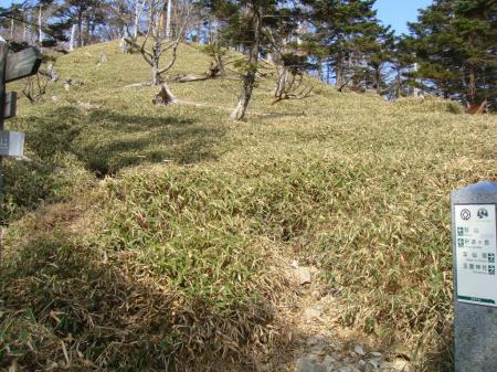 千丈平との分岐のところまできた。ここからあと0.2km