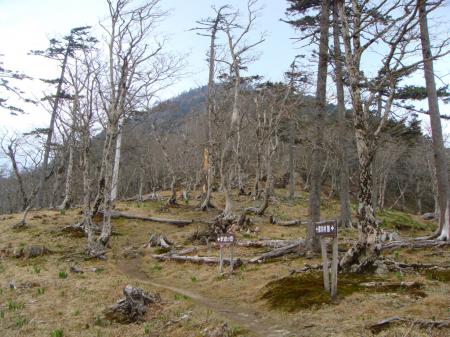 下って千丈平へ向かう途中、釈迦ヶ岳を振り返る