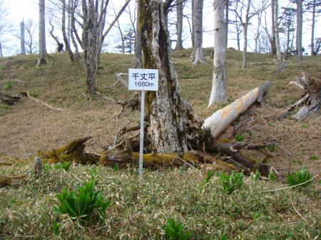 千丈平（1660m）に到着