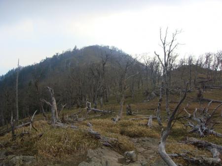 古田の森を目指す