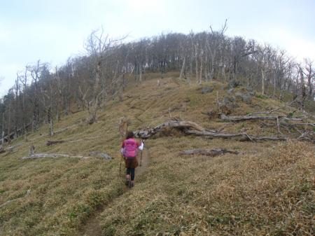 登りは急登そうにみえて意外に楽