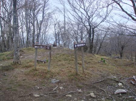 ここが以前にきたときの分岐