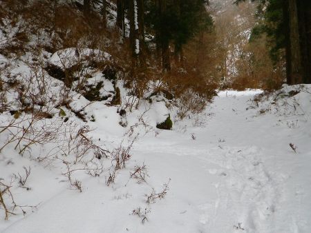 少し先でトレースが左に折れていた。ここから登ったほうが楽だった