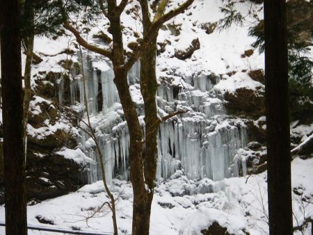他の二人はこの氷瀑程度でびっくりしてたんだけど、シェイクスピア氷瀑群に比べればショボイんだけどね