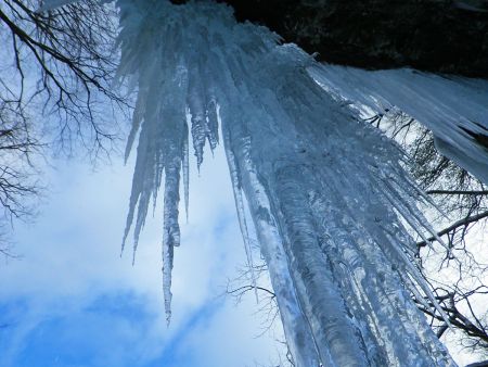 真下からつららを撮影してみた。水がぽたぽたたれてきてたのでつららが折れて落ちてきたら怖い