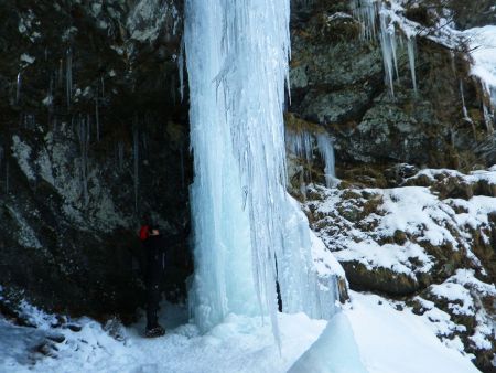 もう一度こまっちゃんを撮影してみた。これで少しは迫力が伝わるかな！？