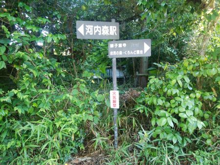 ここに道標があった。獅子窟寺は有名なのかな！？