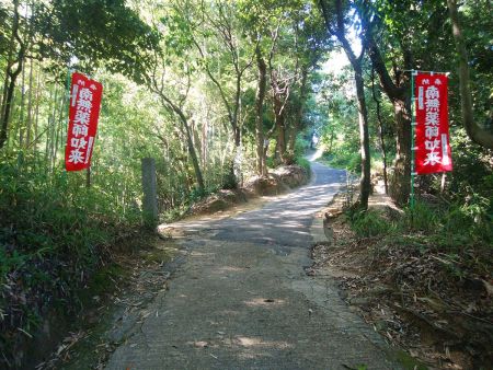 テレビでもやってたけど、この坂道は結構しんどいかも