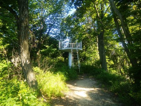 これが展望台！？もはや樹林に覆われていてもう展望台の意味はない