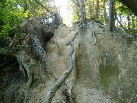 ちょっとしたロープ場もあったけど、右側から登ればロープいらなかったかも