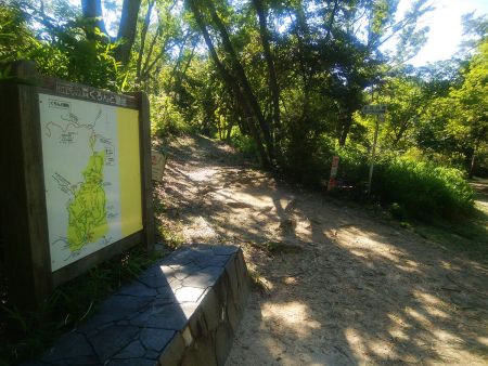 ここでくろんど園地に入った。さすがは府民の森だけあってよく整備されている