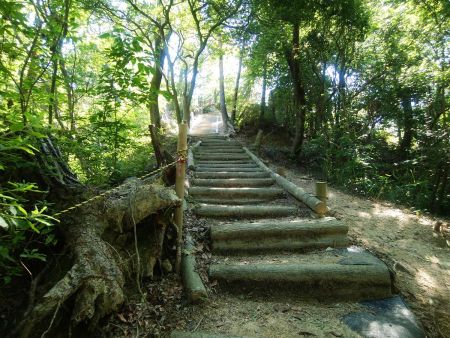 この階段を登ったところがくろんど園地の最標高点のはず