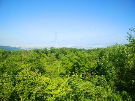 電線が邪魔だけど市街地もこの通りに一望できた