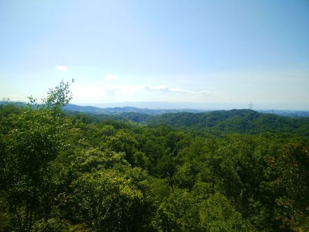 こっちは南東側だけど何が見えてるのかよくわからなかった