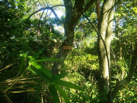 普見山と書かれたプレートがあったけど、くろんど園地最標高点と呼ばれている場所の山名なのかな！？