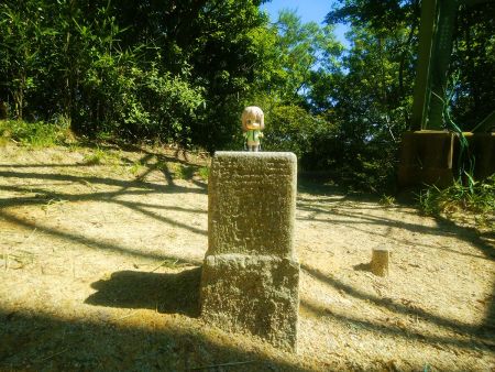 せっかくなので三角点と雪村あおいちゃんを撮影しておいた