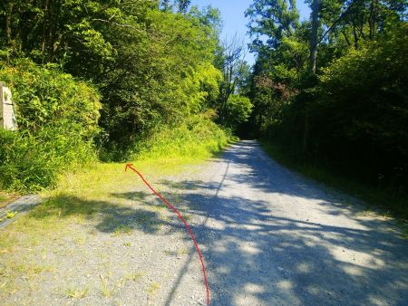 ここで東照山に登るため左側へ行く。ここから先は道標などない
