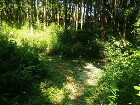 ここで分岐があるけど左側に火の用心の道標があったので従って左へ登っていく