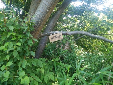 少し手前の木に東照山(322.5m)の木のプレートがあった